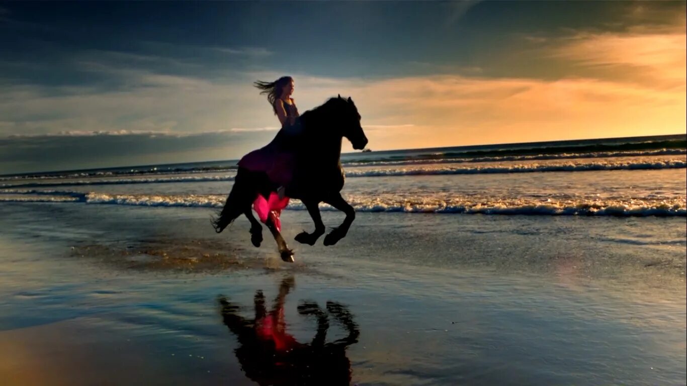 Ждет меня на берегу самая красивая песня. Лошади и море. Лошади на закате. Лошадь скачет. Лошадь скачет по воде.