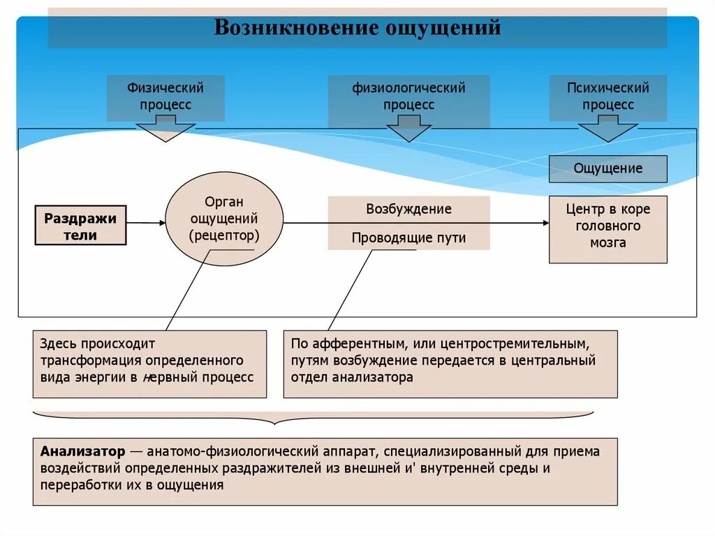 Возникновение ощущений. Процесс возникновения ощущений. Возникновение ощущений схема. Механизм возникновения ощущений.