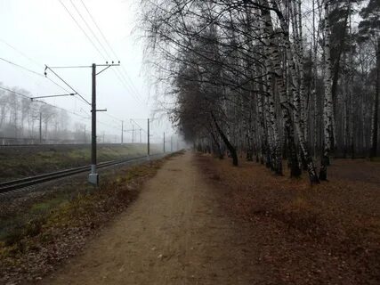 Соколовская болшево