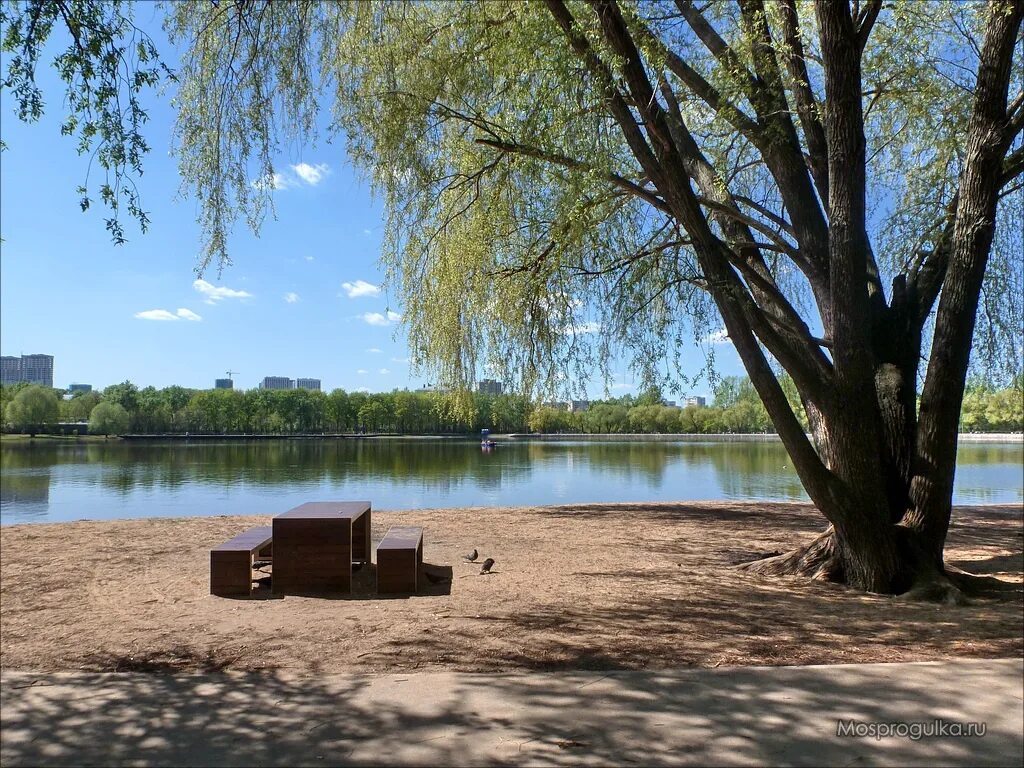 Головинские пруды парк. Головинские пруды михалковская усадьба. Головинский парк москва. Головинский пляж. Большой головинский пруд москва.