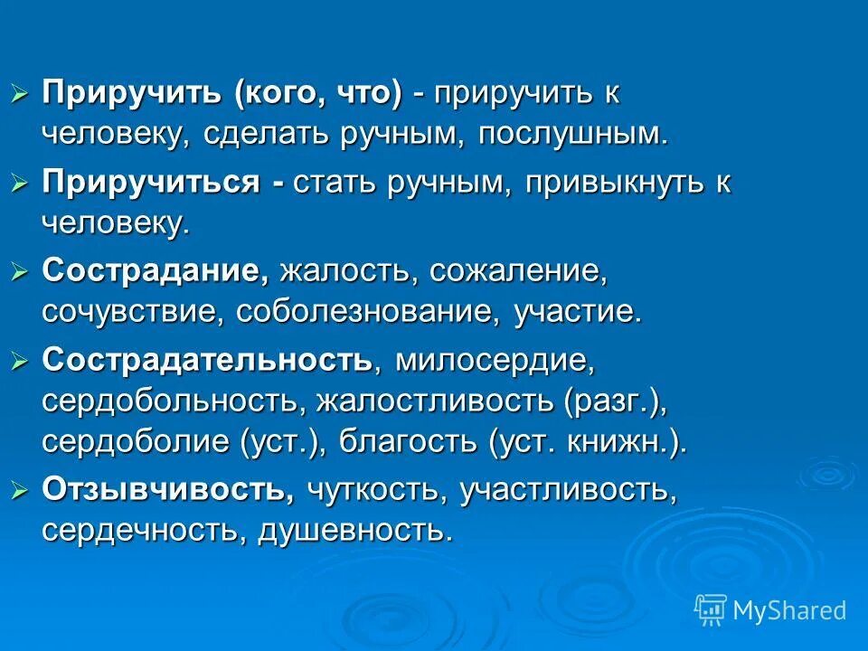 Кусака тема сострадание. Сострадательность. Презентация чуткость и отзывчивость. Сердобольность определение. Сочинение размышление рассказа кусака.