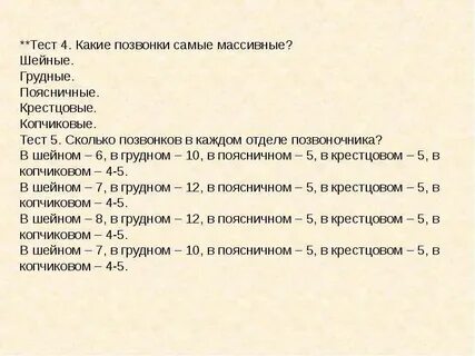 Тест позвоночник