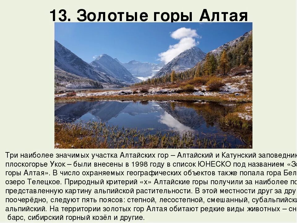 Золотые горы Алтая доклад. Золотые горы Алтая рассказ. Золотые Алтайские горы доклад. Алтайские горы сообщение.