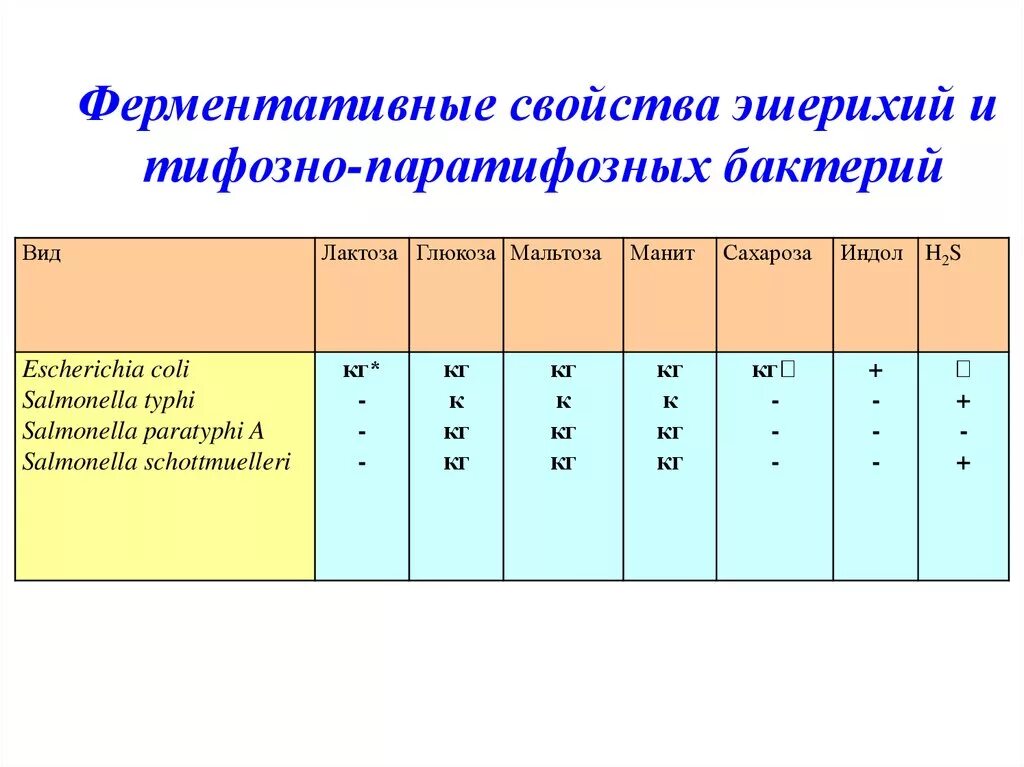 Ферментативные свойства микроорганизмов. Ферментативные свойства бактерий. Ферментативная активность бактерий. Ферментативные свойства микробов. Ферментативная активность микроорганизмов