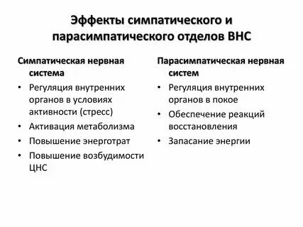 Симпатика и парасимпатика отличия