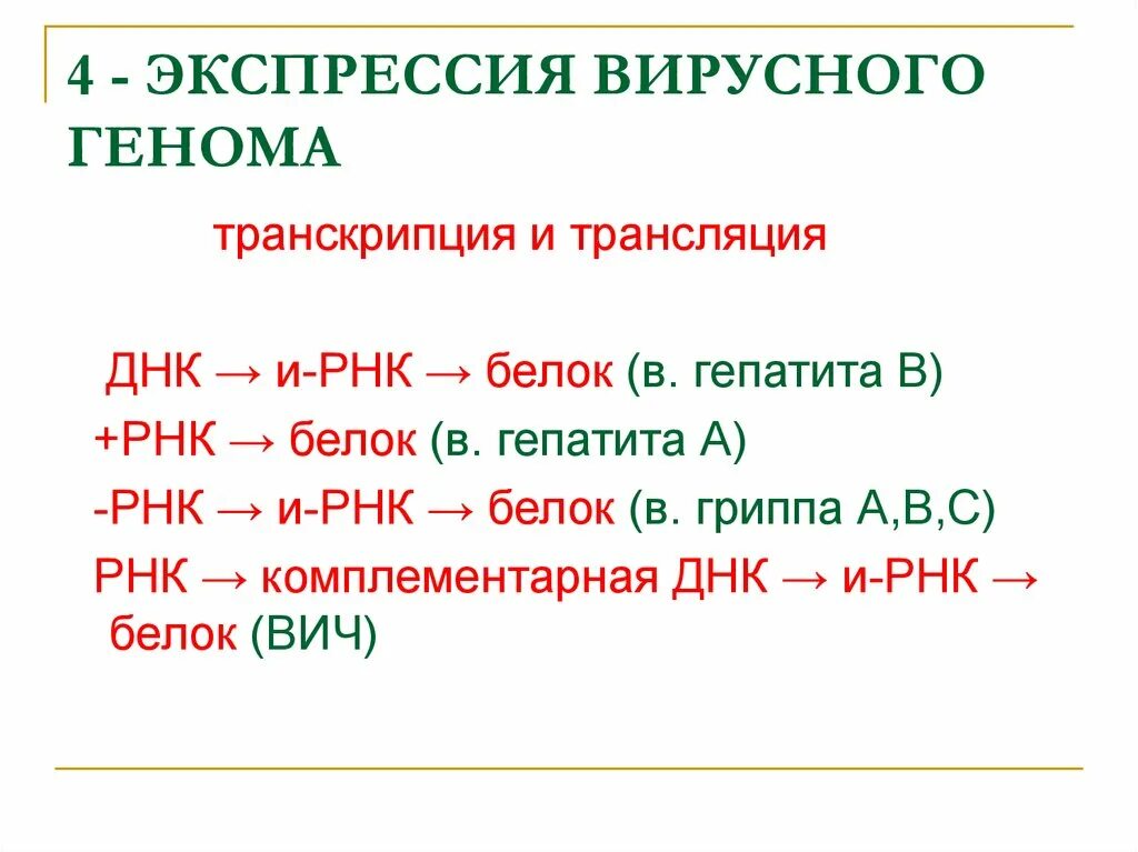 Вирусный транскрипция. Экспрессия вирусного генома это. Экспрессия генов у вирусов. Этапы фазы экспрессии вирусного генома. Транскрипция вирусного генома.