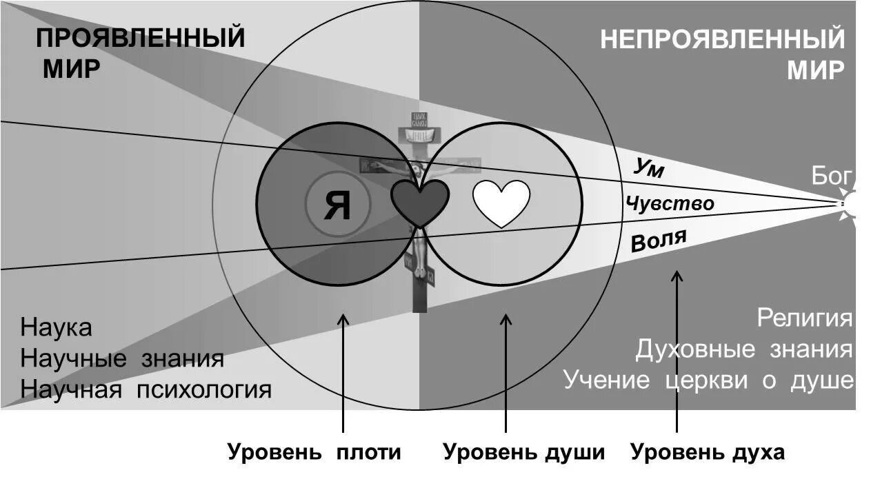 Триединство человека дух душа и тело. Дух душа и тело схема. Тело ум душа дух. Тело душа разум психология.