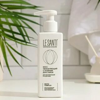 Le santi