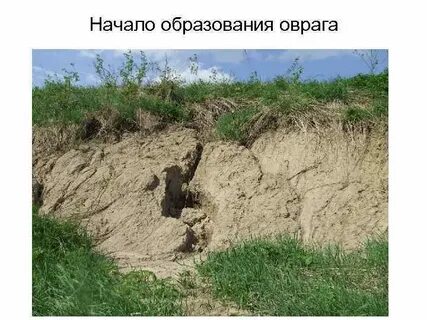 Какое действие человека препятствует образованию оврагов