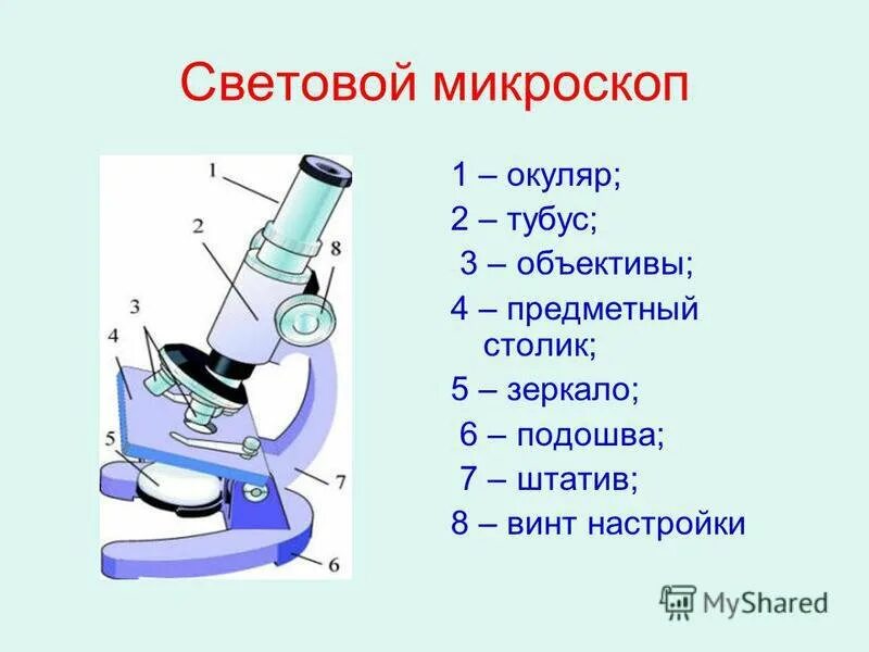 Микроскоп строение светового микроскопа. Что такое микроскоп и строение микроскопа 5 класс биология. Устройство светового микроскопа осветительное устройство. Строение светового микроскопа 5 класс. Строение микроскопа с подписями и их функции