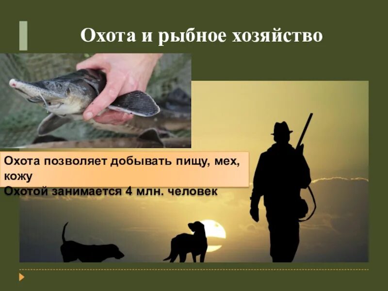 Смысл охоты