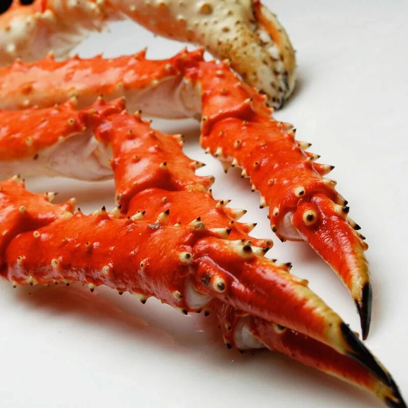 Краб оптом. Alaskan King Crab. Королевский краб. Королевский краб блюдо. Равношипый краб.