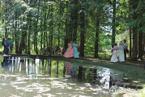 Берново июнь 2021 пруд рядом с музеем пушкинм. Праздник пруда. Памятник природы «петровский пруд». "школа в капотне" кузнецкий. Праздник пруда.