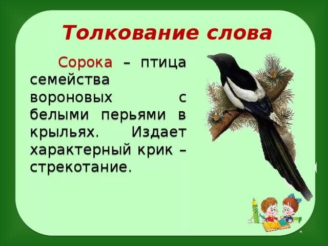 Окончание слова птицы. Семейство Сорочьих птицы. Со словом сорока. Предложение про сороку. Словарные слова птицы.