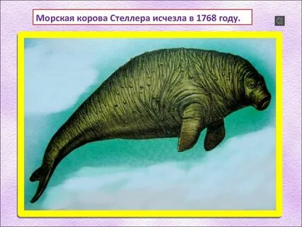 В каком году исчезли