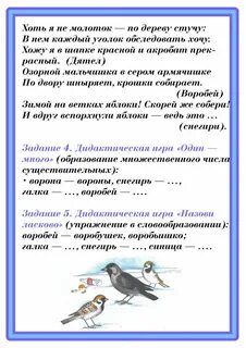 Тема недели встречаем птиц старшая группа