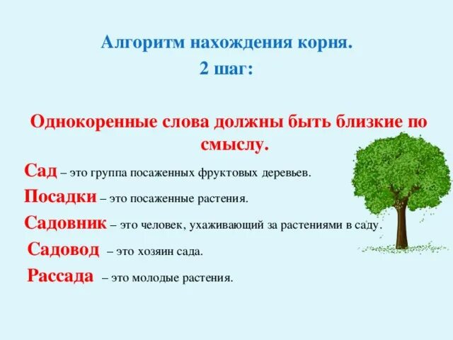 Сад предложение. Однокоренные слова существительные. Родственные слова сад. Однокоренные слова к слову сад. Сад однокоренные слова подобрать.