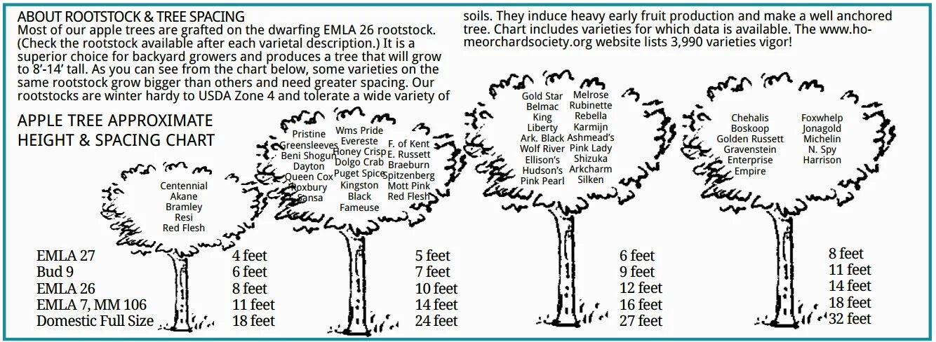 Tree перевод. Sapling перевод. Dwarf Tree перевод. Малое дерево высота. They like trees