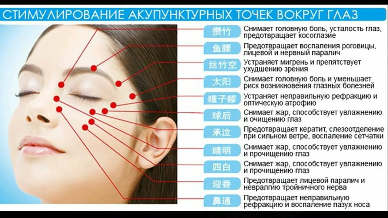 Лицевая область