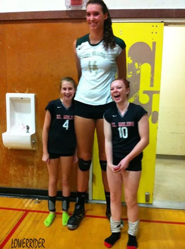 Самый низкий средний высокий рост девушек. Высокие волейболистки. Самая высокая волейболистка. Самая высокая женщина волейболистка. Самый высокий рост волейболистки.