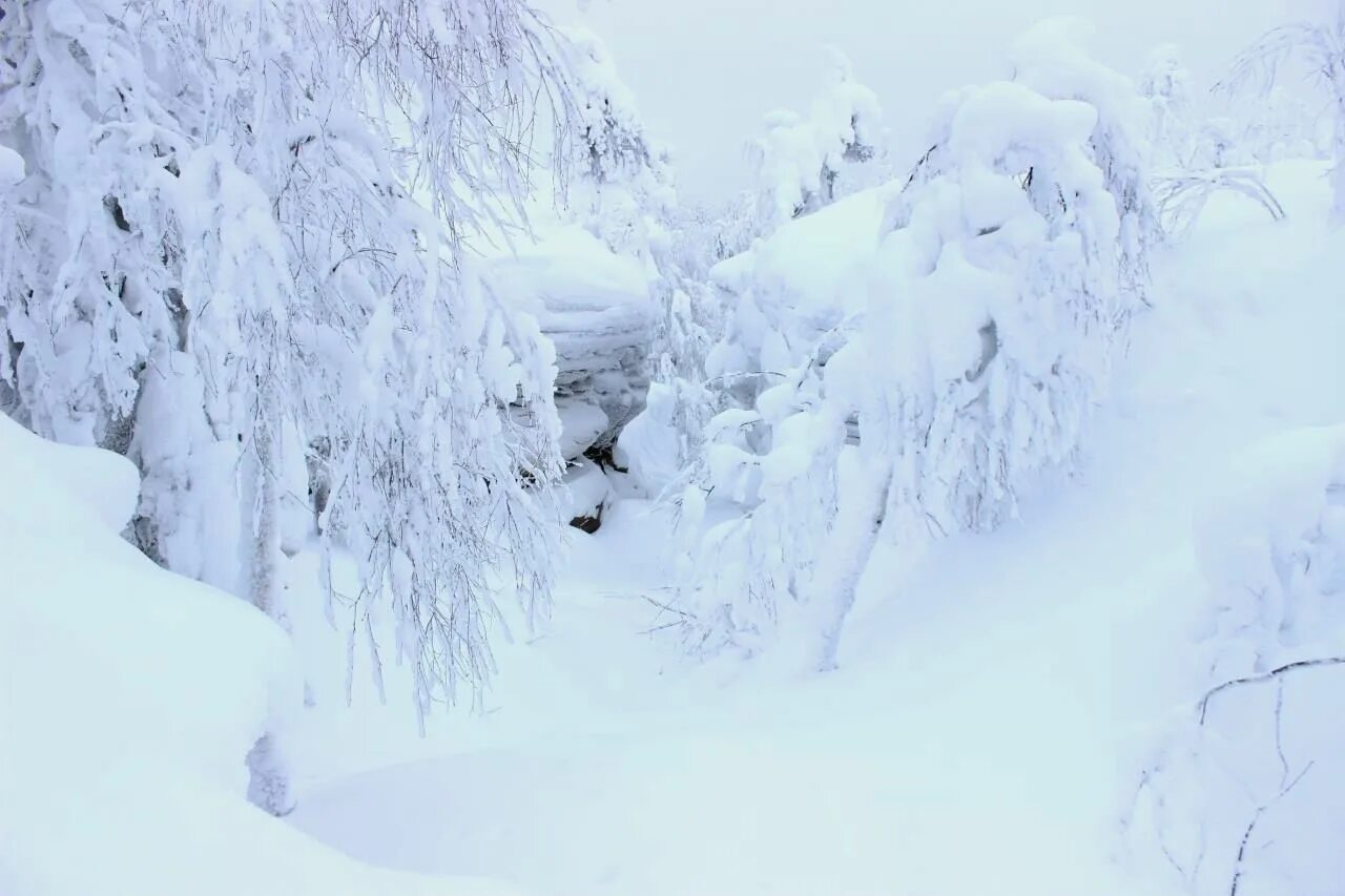 зимушка зима текст. песня зима зима кругом снега слушать. снег кружочки сугроб. песня зима зима кругом снега слушать. снег кругом.
