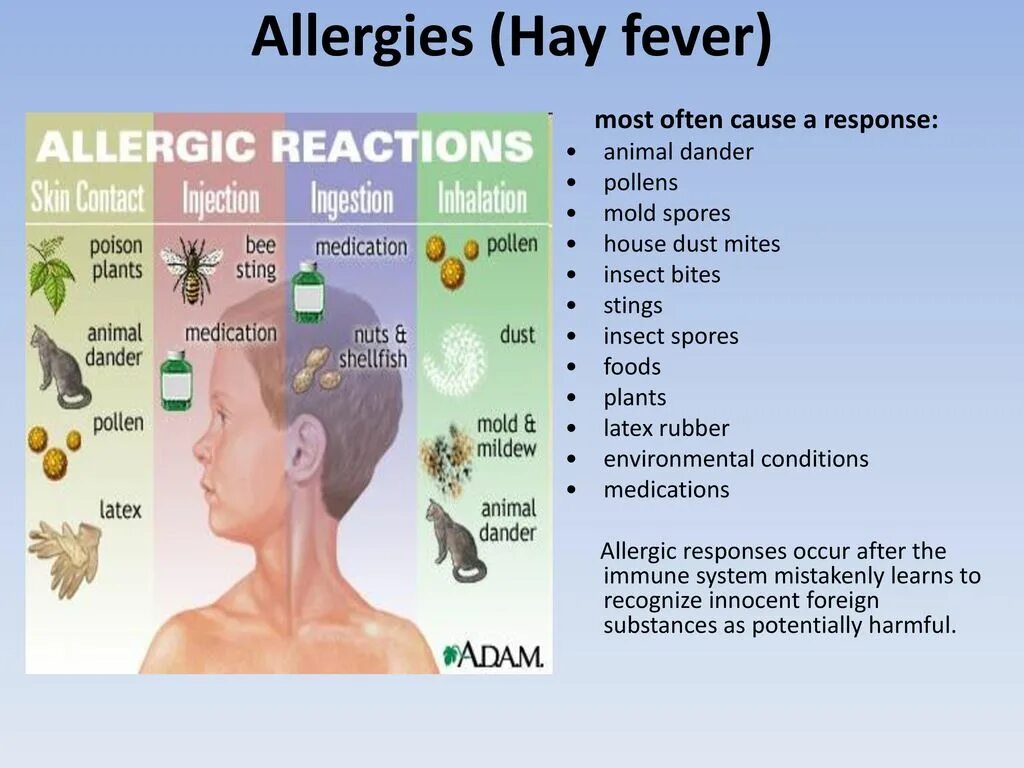 Hay Fever. Сенная лихорадка. Аллергическая лихорадка. Сенная лихорадка Тип аллергической реакции.