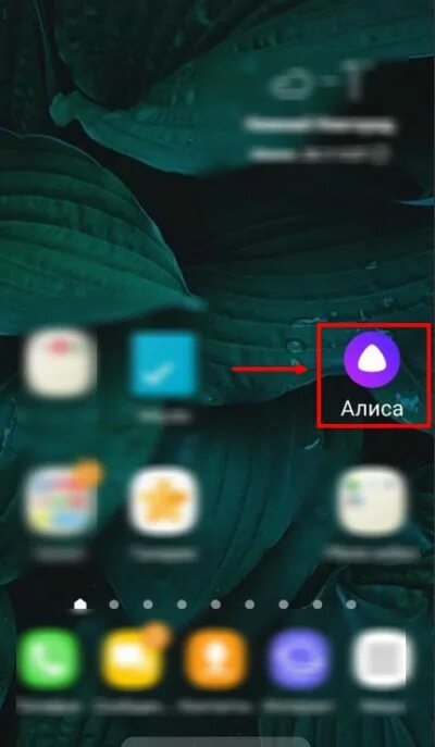виджеты яндекса на главный экран айфона. виджет алиса на iphone. как сделать виджет алисы. как сделать виджет алисы. яндекс алиса.