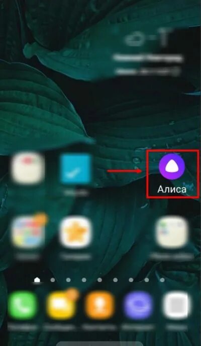 Значок алиса на экран телефона. Алиса на главный экран на телефон. Добавить Алису на главный экран. Значок Алисы на главном экране.. Вывести Алису на главный экран.