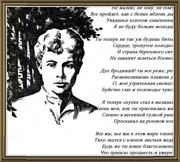 Стихотворение писателя Есенина. Не жалею не зову не плачу Есенин. Стихи Есенина. Есенинская поэзия