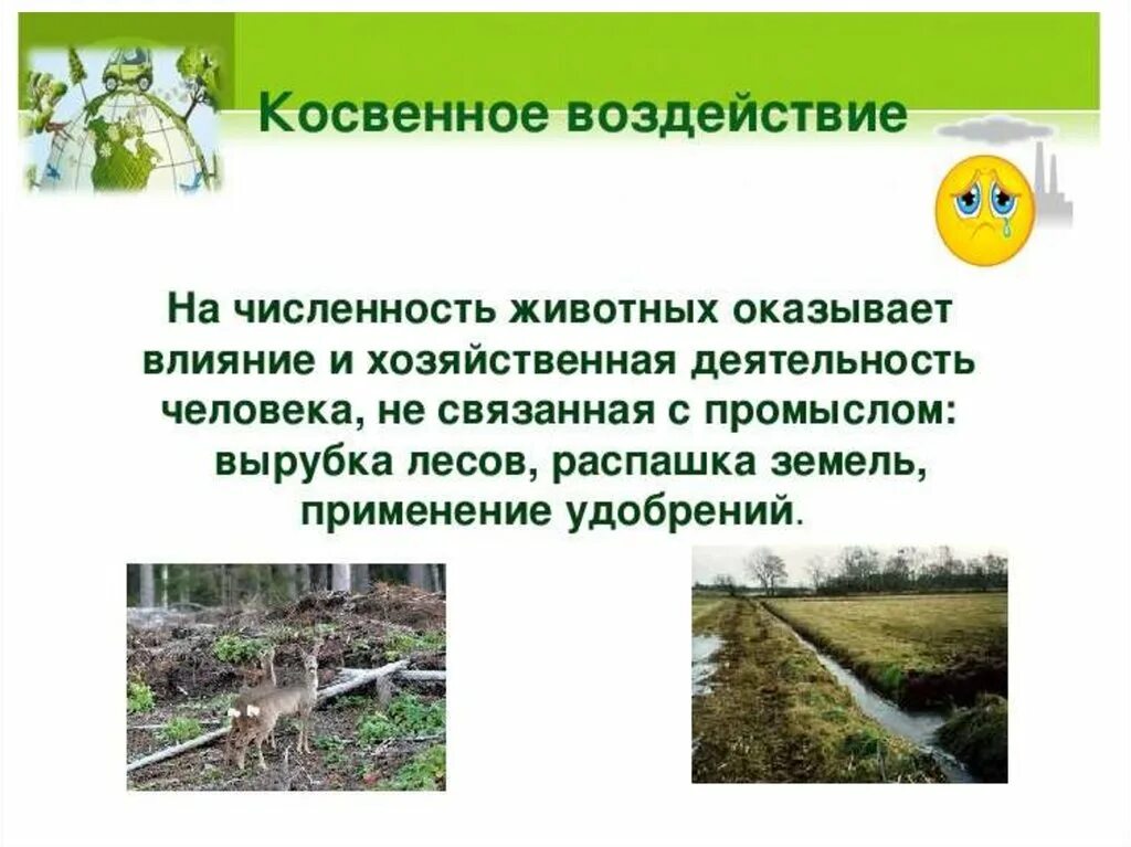 Последствия воздействия человека на природные сообщества. Влияние человека на животных. Косвенное воздействие человека на животных. Отрицательное воздействие человека на животных. Косвенное влияние человека.