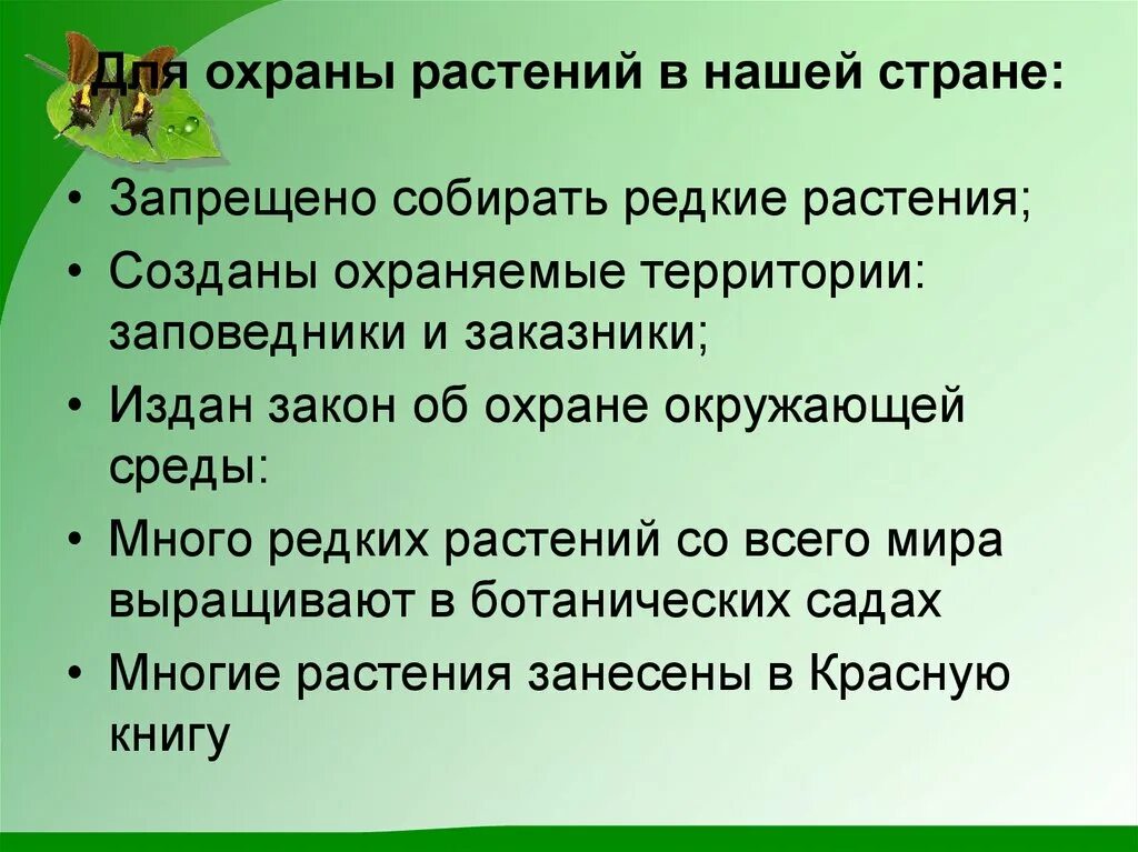 Как можно сохранить растения. Охрана растений. Проект охрана растений. Сообщение охрана растений. Защита редких растений.