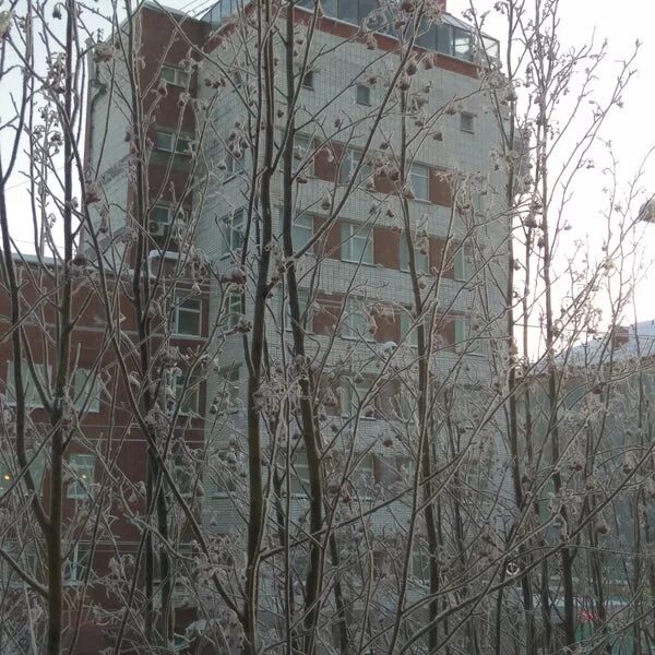 Буркова 29 мурманск. Буркова 29. Г. Буркова 29. Дом буркова.