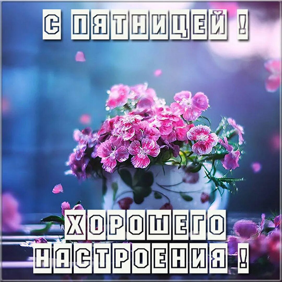 уютного осеннего вечера. уютной осени надпись. доброе утро утро пятницы. уютная пятница картинки. уютная пятница картинки.