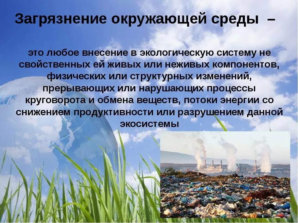 Решения и проблемы природы
