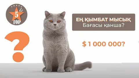 Түнгі клубтағы жалаңаш қыздардың видеосы