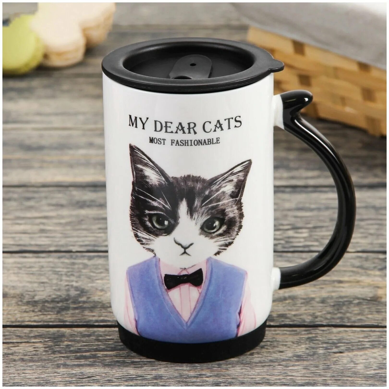 япония остров кошек аосима. How many are there. тасиро остров кошек в японии. Cats are more. остров аосима остров кошек.