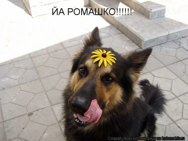 Улыбайся я снимаю. Улыбайся я снимаю