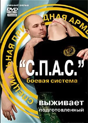 Боевая система