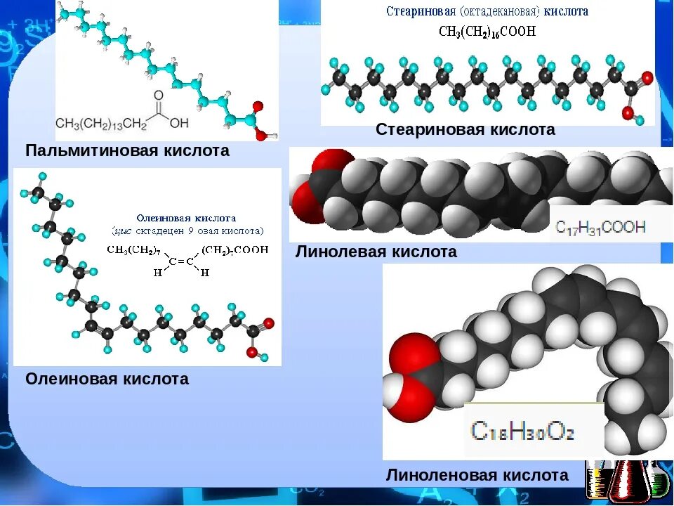 Стеариновая кислота сообщение. Олеиновая кислота линолевая кислота. Олеиновая и пальмитиновая кислота формулы. Олеиновая кислота линолевая кислота линоленовая.