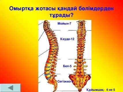 Орыс жастарының порносын онлайн көру