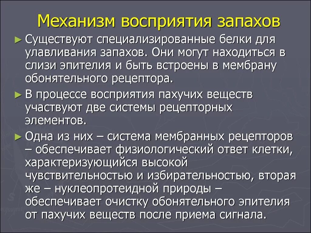 Восприятие запахов физиология. Механизм восприятия запахов. Механизм восприятия запахов человека. Классификация запахов, механизм их восприятия.. Исследование обонятельной функции