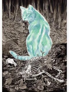 Кот призрак анзу