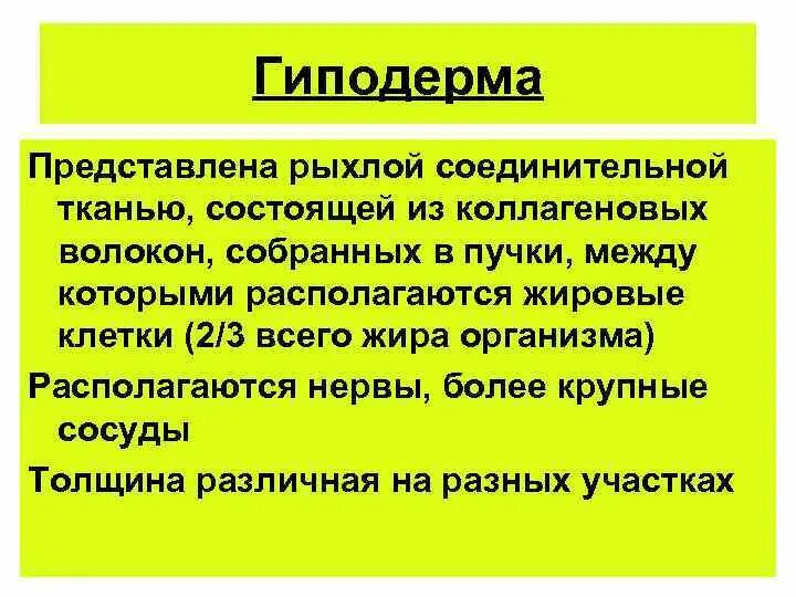 Гиподерма строение и функции. Гиподерма. Гиподерма структура и функции. Гиподерма кожи представлена. Из чего состоит гиподерма.