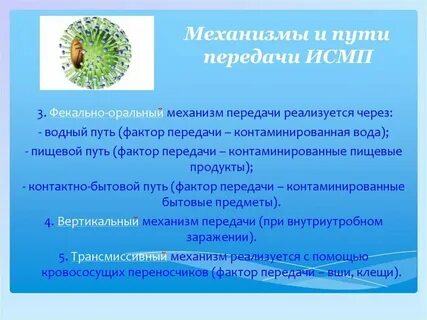 Механизм передачи инфекции исмп