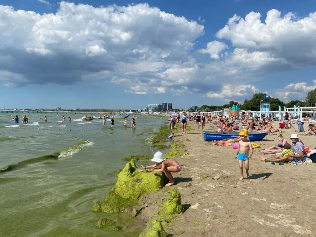 Вода в анапе. Пляж олимп анапа. анапа центр. анапа лето 2025. водоросли в анапе 2025.