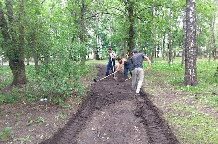 Подработка левом берегу. Парк Левобережный аллея. Директор парка Левобережный. Березы парк фестиваль. План застройки березовой аллеи Левобережный районный.