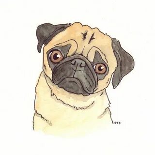 Рисунок мопса