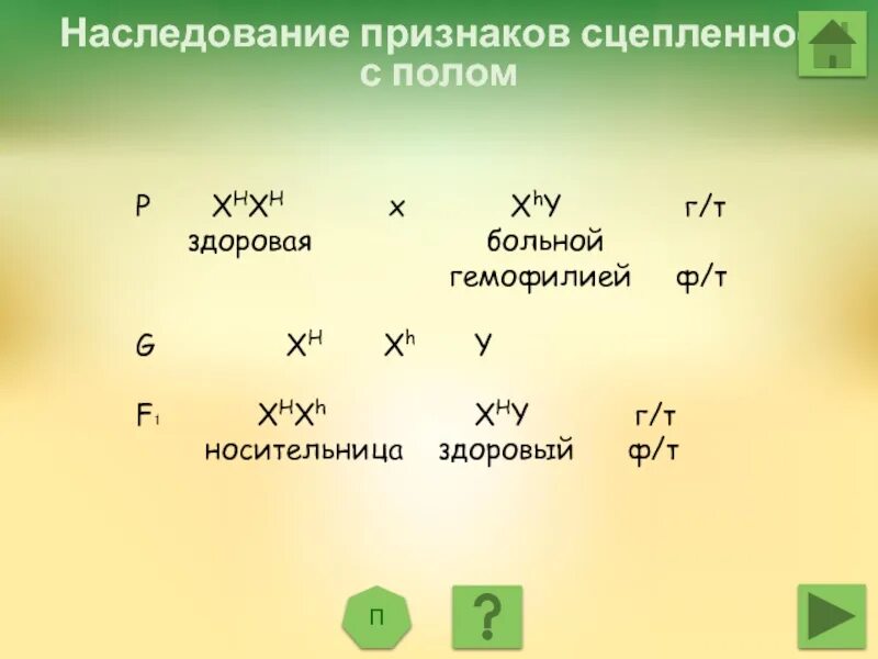 Задачи по генетике пола. Решение генетических задач. Сцепленное наследование признаков. Наследование признаков сцепленных с полом.