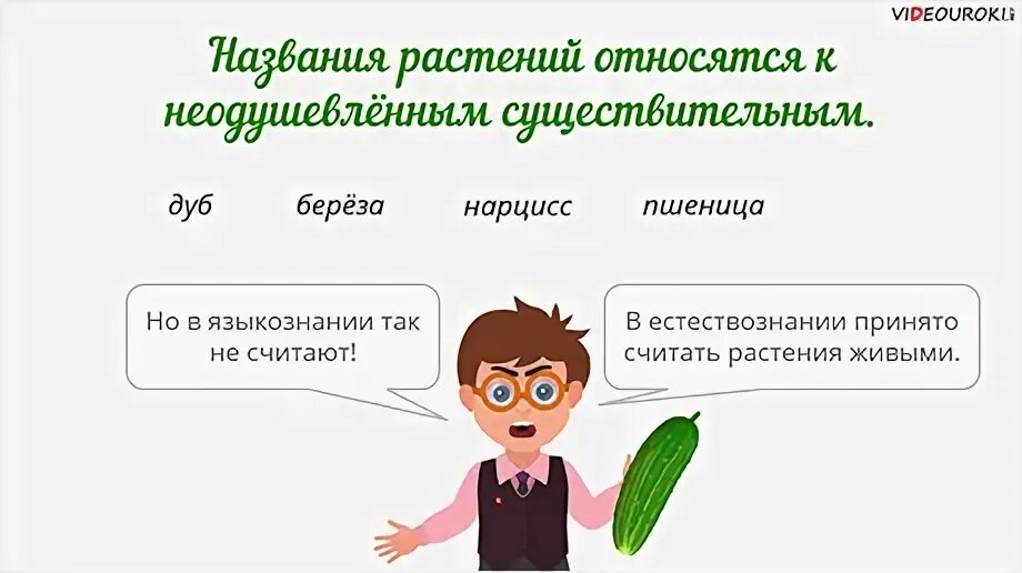 Повторение имен существительных
