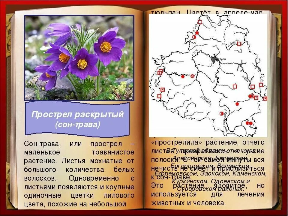 Красная книга псковской области растения